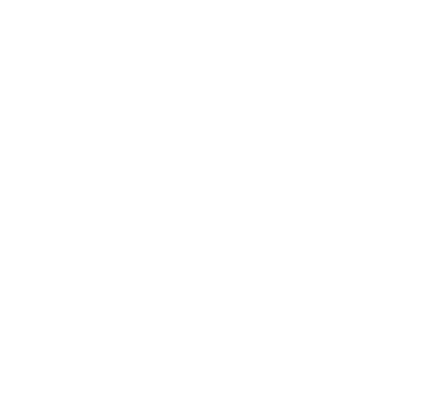 Revinova